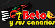 Beto y Sus Canarios logo