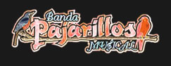 Banda Pajarillos Musical